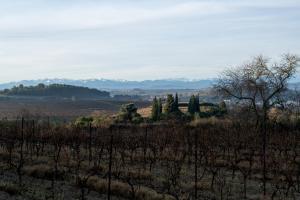 Villas Villa des Cathares : photos des chambres