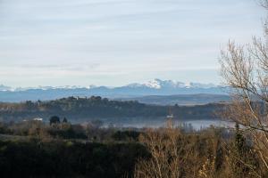 Villas Villa des Cathares : photos des chambres