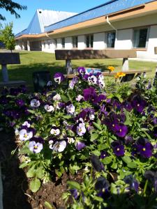 Systemairhallen Bed&Breakfast