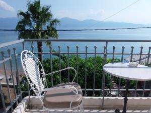 Hotel Plaz Achaia Greece