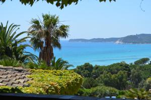 Residence Fenicia img9