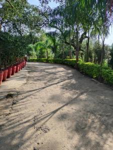 Rose Cottage - A Heritage Retreat