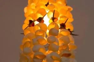 San Fernando, Bacalar Villa Nina Del Río - Margarita Maza de Juárez