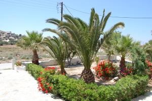 Coralli Beach Apartments Naxos Greece