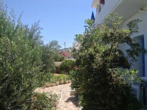 Rania Apartments Antiparos Greece