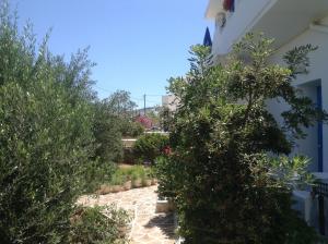 Rania Apartments Antiparos Greece