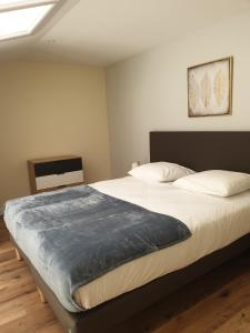 Appart'hotels Apprt Hotel Clos du Beron : photos des chambres