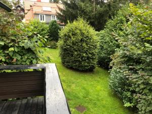 Blockhaus - Die Zwergenbaude -