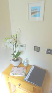 Wild Coastal Retreat at Troed Y Rhiw Aberporth, West Wales