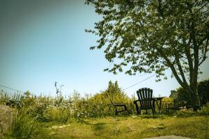 Maisons de vacances Les Gites du Gouelou : photos des chambres