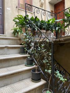 La casa sulla piazza (Historic apartment)