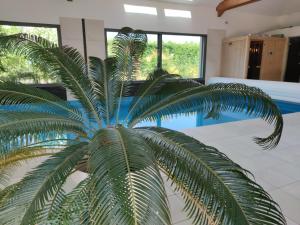 B&B / Chambres d'hotes Comme une evidence : photos des chambres