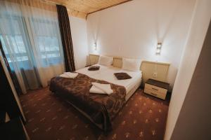 Double or Twin Room with Balcony room in Pensiunea Rau Sadului