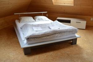 Horský hotel Anděl