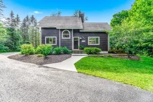 Jumping Cholla - Harrietta