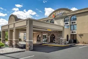 Comfort Inn Edison - New Brunswick - 爱迪生