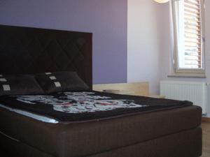 Apartament Stara Polana i Spa