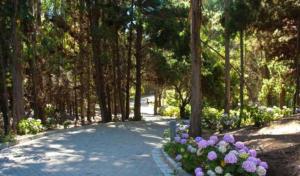 Bahia Pelicanos, Horcon departamento Mabel