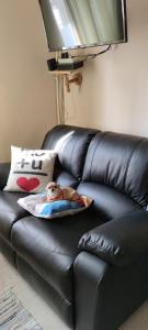 Orsi Apartman vendegház