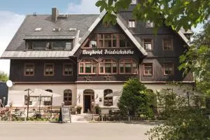 Berghotel Friedrichshöhe - 弗劳恩施泰因山