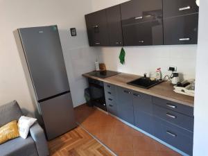 Apartment Luki