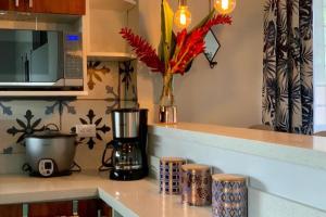 Villa Tropical La Fortuna