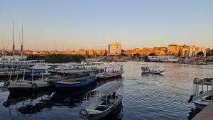 The Green Nubian House