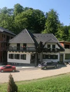 Băile Puturoasa - Medieşu Aurit