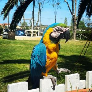 Locanda del Tavolo Matto