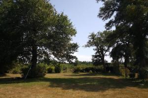 Maisons de vacances Bergerie landaise : photos des chambres