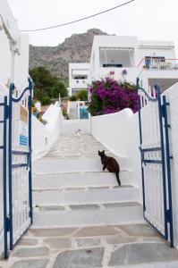 Tatsis Apartments Kalymnos Greece