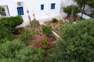 Tatsis Apartments Kalymnos Greece