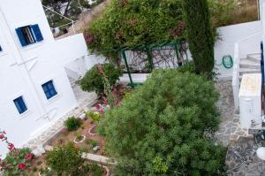 Tatsis Apartments Kalymnos Greece