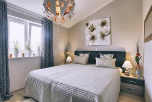 Holiday house Vedrana, Jadreški