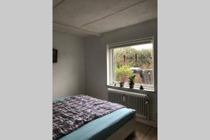 AppleFlower Farm retro apartment