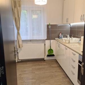 Apartament Alina - la parter & parcare rezervata