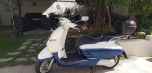 Il Vecchio Ginepro img29