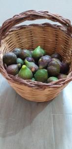 Il Vecchio Ginepro img30