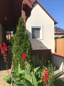 Apartman TinaSol - Halászi