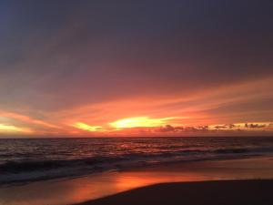 Lemon Dew Beach House, Alleppey Beach