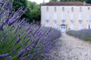 Maisons d'hotes La Mouline : photos des chambres