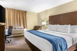 King Room Accessible Bathtub- Non Smoking room in Comfort Inn Airport Grand Rapids