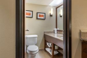 King Room - Non-Smoking room in Comfort Inn Airport Grand Rapids