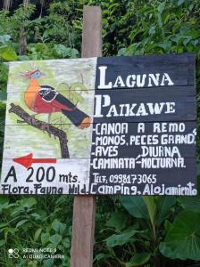 Misahualli Laguna Paikawe B&B