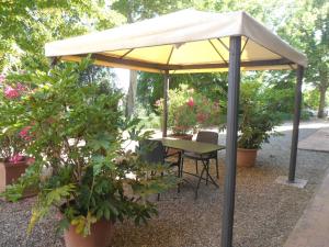 One-Bedroom Apartment - Ground Floor room in Agriturismo Il Poggiarello
