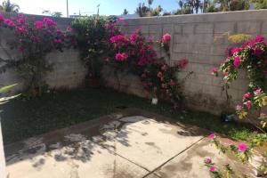 Nice House w shared pool and close to the beach at Mazatlan
