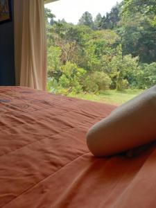 Suite y Loft Casa Toría