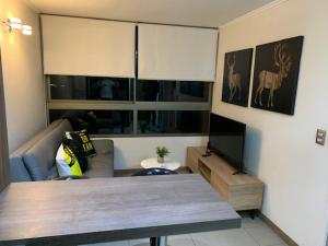 Acogedor Departamento Santiago