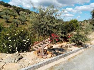 apartamentos turisticos la gitanilla