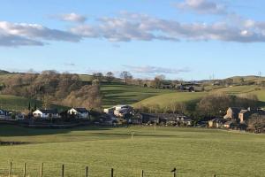 "The Studio" Contemporary studio with organic swimming pool
